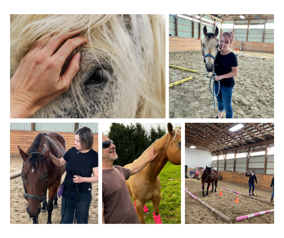 Montage of leaders training with horses
